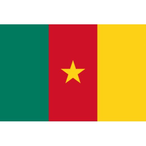 Bandera de Camerún