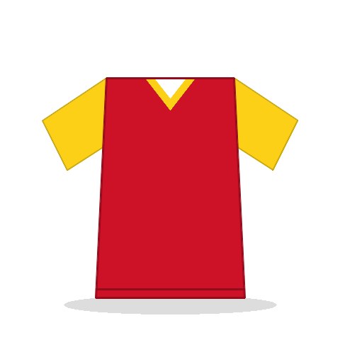 Camiseta Camerún