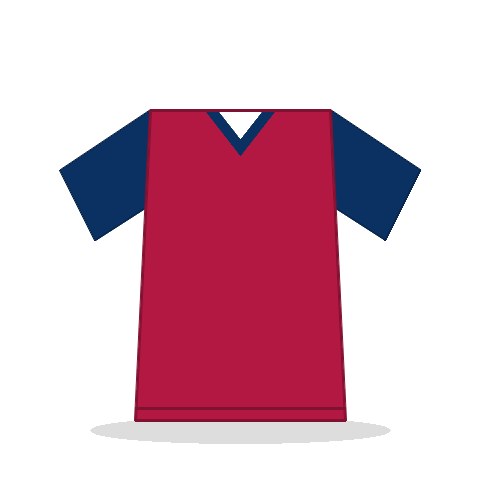 Camiseta Estados Unidos