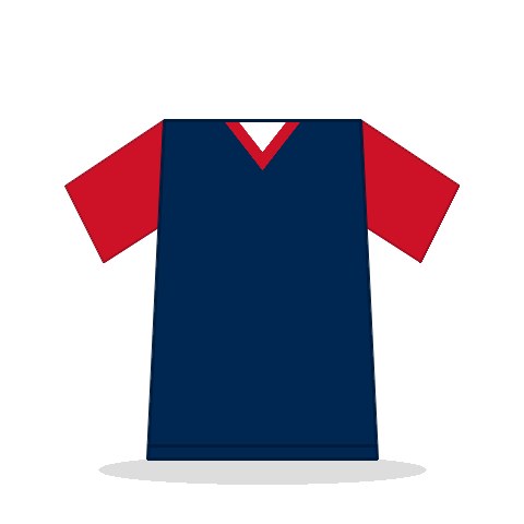 Camiseta Francia