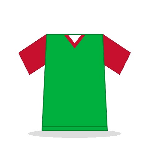 Camiseta Gales