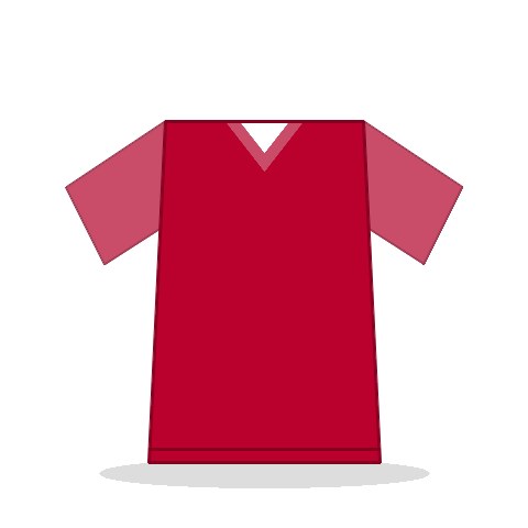 Camiseta Japón
