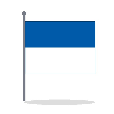 Bandera del Millonarios