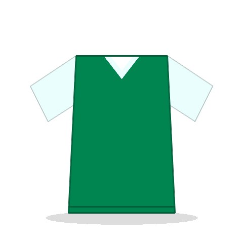 Camiseta Nigeria