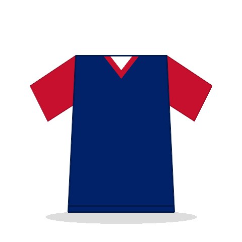 Camiseta Nueva Zelanda