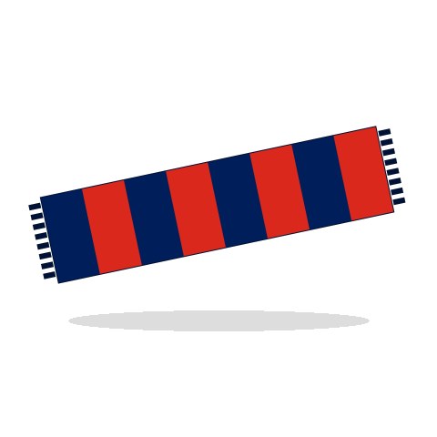Bufanda del Psg