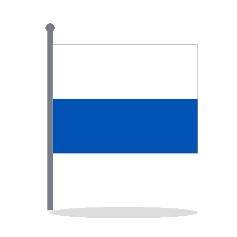 Bandera del Real Zaragoza