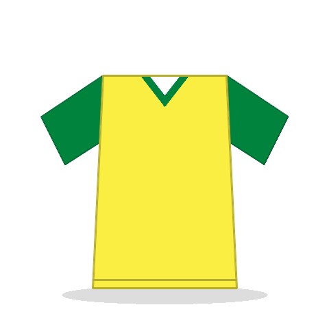 Camiseta Senegal