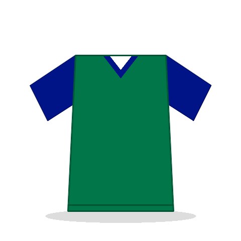 Camiseta Sudáfrica